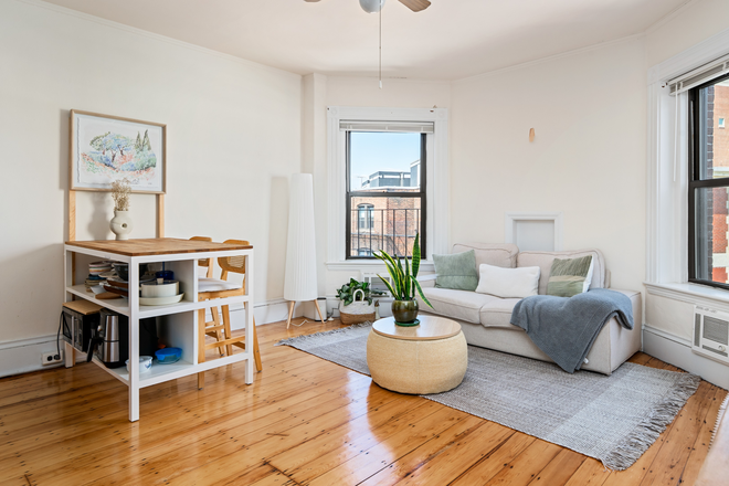 Living room - Best Priced one bedroom near BU!