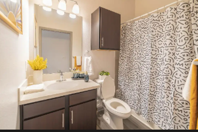 Bathroom size - The Academy At Frisco Spring Sublet Apartments