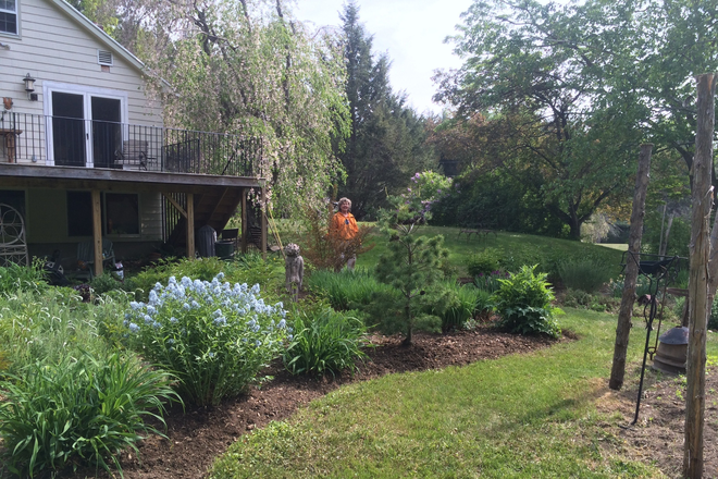 Deck (Current tenant does not want photos taken) - 4 Miles from UMass