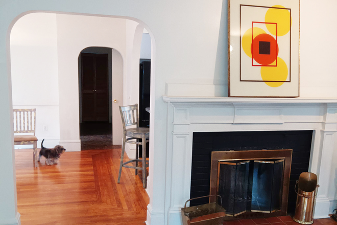 Living Room - Large 2 bedroom apartment, 2nd floor, East Side. Big windows. Working fireplace, hardwoods & more