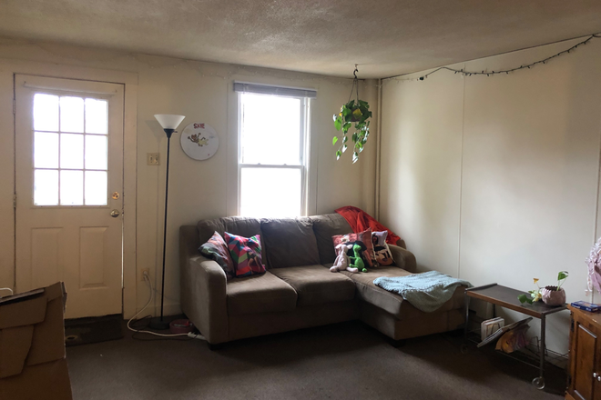 living room - Two bedroom apartment - Umass bus - Amherst