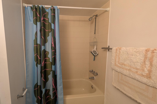 Shower - Creek and garden view walkout basement House