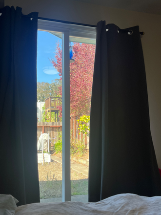 Backyard - Inner Sunset Apartment
