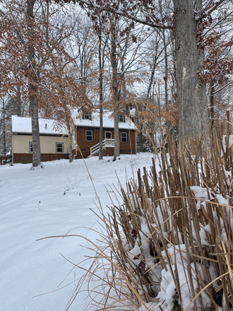 The house is at the bottom of a hill and its very quiet at night with stellar neighbors on both sides and little yard work to do. - Quiet 2 Bed 1.5 Bath House In Walkable Neighborhood