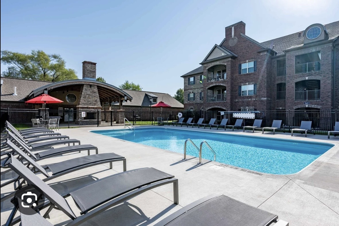 Pool - Miami Preserve