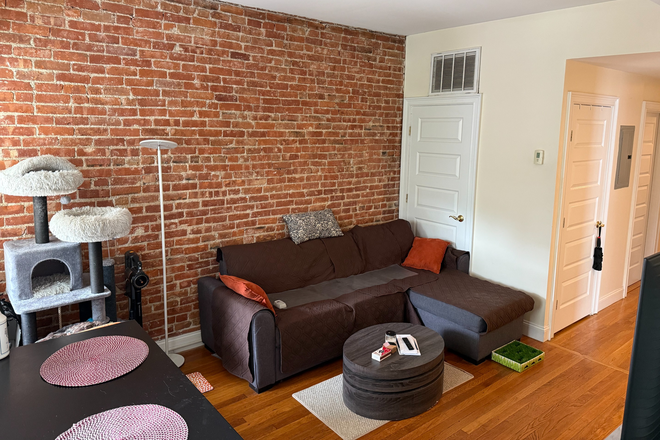 Living Room - 2 Bed/2 Bath apartment in Allston, 5 minute walk from Packard's Corner, Close to Campus