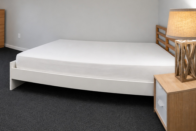 bedroom - Fully furnished large bedroom in newly renovated 4 bedroom 2 bathroom apartment