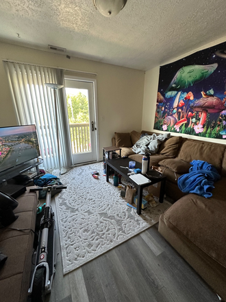 Living room - Morris Rentals 224F W Fowler Ave. Apartments
