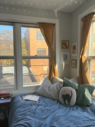 Sublet bedroom - Cute and Spacious Summer and/or Fall Sublet in Wellington/Halsted 4-Bed