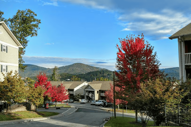 View from property - The Village at Meadowview Apartments