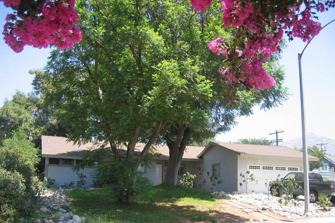 445 Maravilla - FURNISHED PRIVATE BEDROOM W/SHARED BATH AVAILABLE WALKING DISTANCE TO UCR