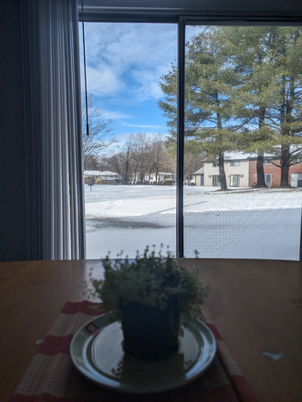 View from dining room - The Social Amherst