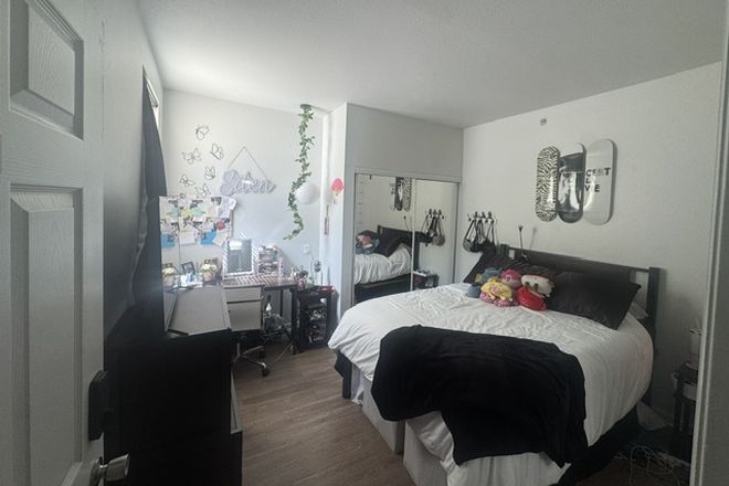 Bedroom - University Village at Boulder Creek Apt- Renting Room + Bath