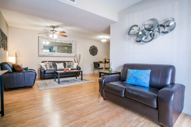 living room (couches and tables are included) - Knight Circle 4x4 apartment ALL FEMALE