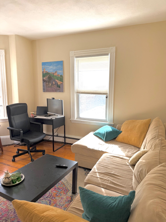 Livingroom - Room in Somerville apt | furnished | parking | Year lease with summer sublease option