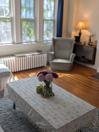 living room - Spacious townhouse close to campus
