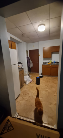 Kitchen - 1 Bedroom Apartment at 728 S Carpenter St #3R, Located Next to BSB and Carm's