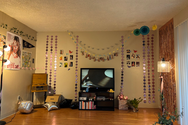 living room - Apartment Near East Campus -- Summer Sublease