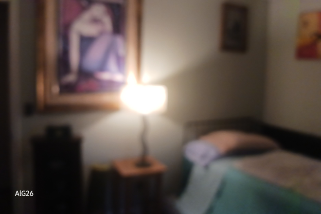 The bedroom - CHEAP $700 FURNISHED STUDENT ROOM/BATH FREE AMMENITIES