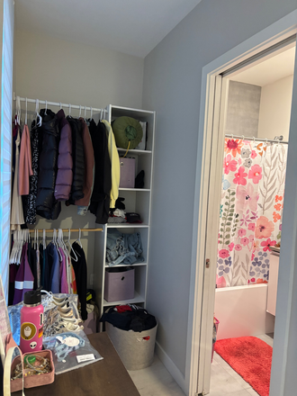 Closet and bathroom - Spring/Summer Apartment Sublet; personal bathroom, female Only, spacious + renovated!