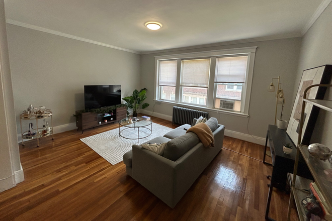 Living room - 2 Bed/1 Bath Apartment in Coolidge Corner, Brookline