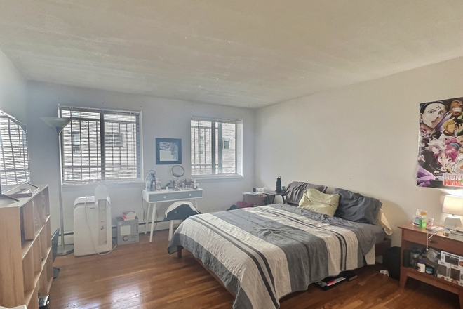 apartment - BU/Allston/1 bedroom Apartments