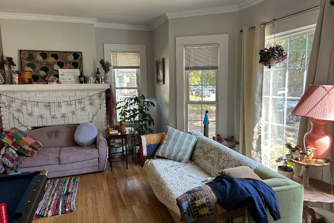 living room - Walk across the street to campus! Enjoy this renovated, super-sized one bedroom!