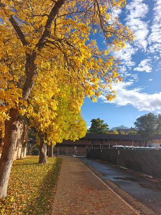 a street at the Graduate housing area - Newton court