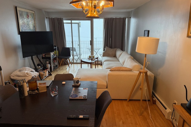 Living room - Full apartment sublet near campus