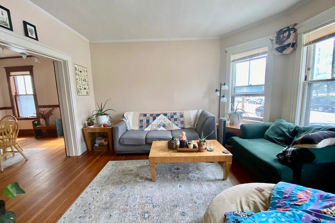 living room - College Ave Somerville 5 bed 1.5 bath apartment available June 2026!