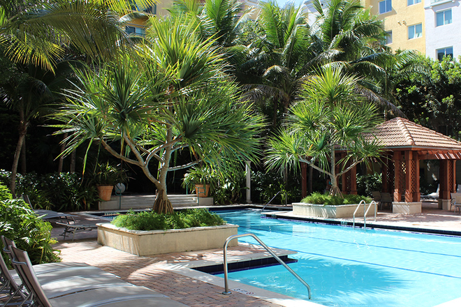 Pool - Valencia South Miami