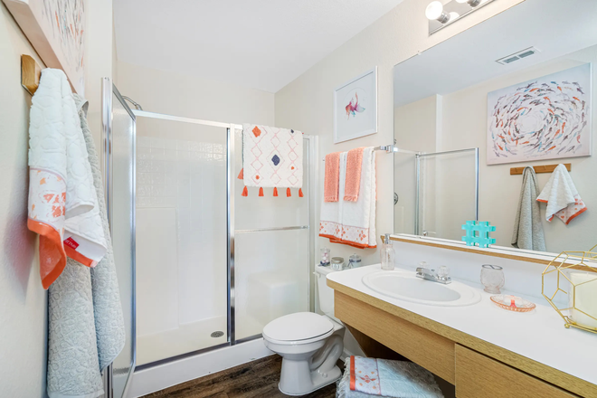 Bathroom - Forest Lake Student Apartments