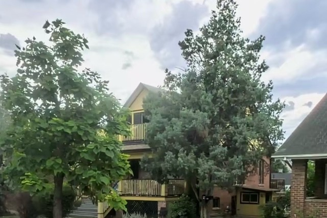 Side entry for Downstairs unit shown as Unit B - Hill House - Yellow Sub