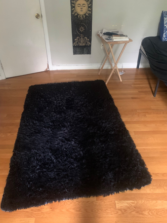 Bedroom Carpet - BC/BU August Sublet in Fully Furnished Brighton Apt – All Utils/WiFi Included! 1 min from T