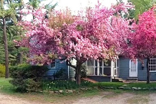 Side of house; fruit trees in bloom - Lovely home in a lovely rural setting - 15 minutes from Amherst