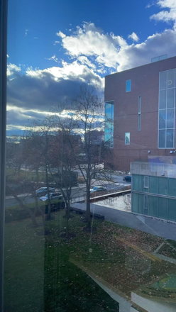 french window view - FEMALE ONLY DECEMBER/JANUARY SUBLEASE Apartments