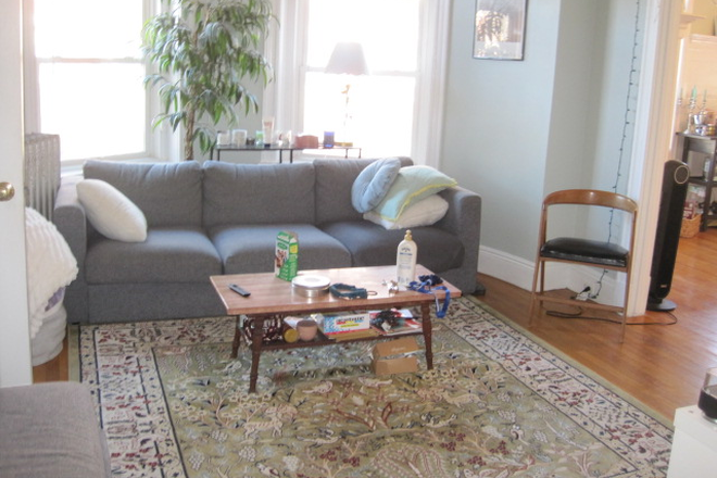 Livingroom - MBTA, Heat included, laundry in unit.