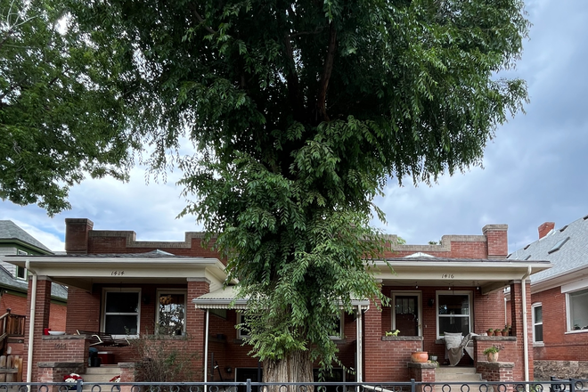 4 plex unit, garden apartment is below - Charming Garden Apt in the Heart of Platt Park: Step right out onto historic Old South P