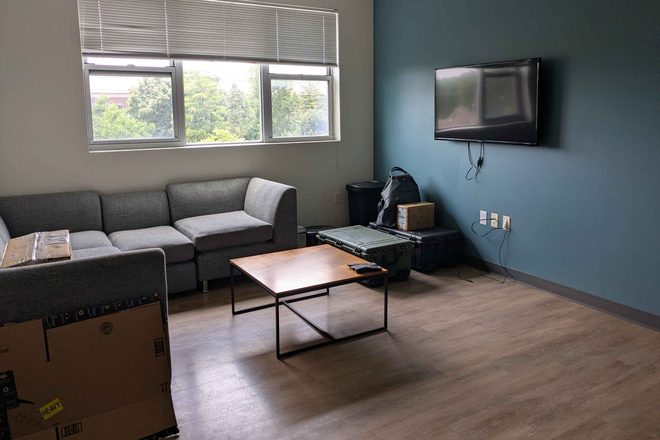 Living Room Area featuring the furnished Sofas and TV. - Fuse Apartments - One room in 4B/4Ba Apartment