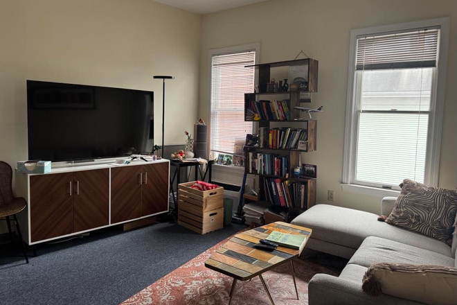 Living room - 1 Bedroom Apartment Cambridge Summer Sublet HUH Housing 18 Banks Street