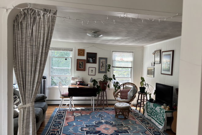 Living Room - Bright and airy apartment close to MIT