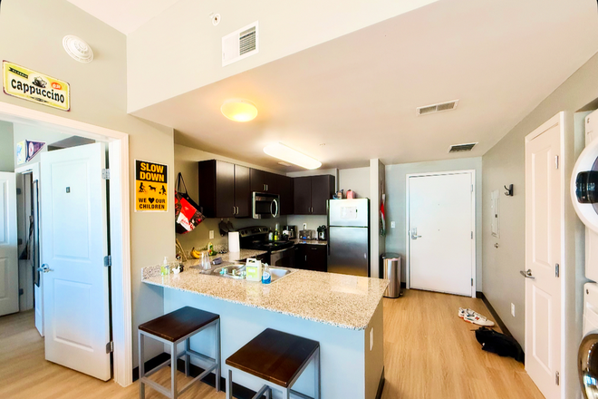 Kitchen - On Campus Apartment Spring 2026 Sublet Needed