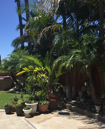 Backyard - Home away from home