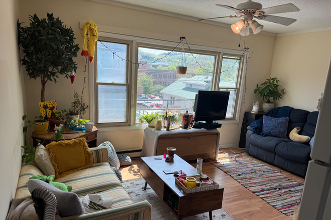Living room - Steps from Campus on King Street - Comfortable and Convenient Apartments