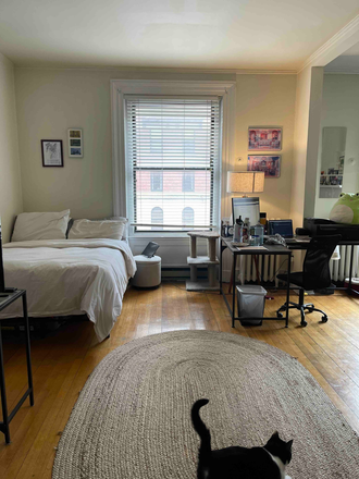 a - Close to Newbury Street, Kenmore Square and Mass Ave Bridge...