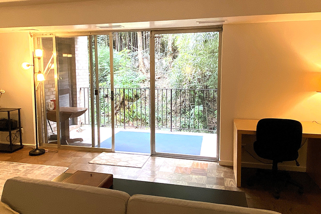 Living room with view of bamboo garden - Furnished North Downtown apartment - Close to UVA Grounds, UVA Hospital and Downtown Mall