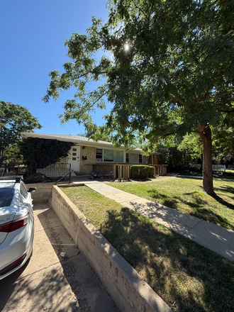 Front yard - House on 17th, close to campus