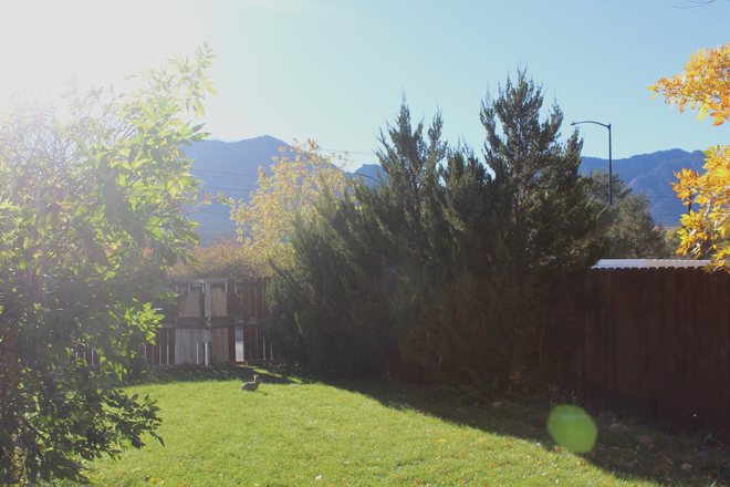 Backyard with view of Flatirons. - Master Bedroom & Half Bath Close to Campus