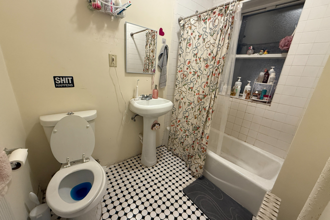 Bathroom - finding 1 female roommate for a cute fenway apartment with 2 female roommates (3bd, 1bath)