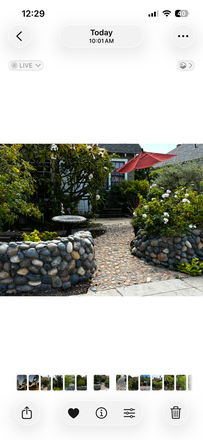 Garden entrance - Charming historical home for rent one block from Chapman